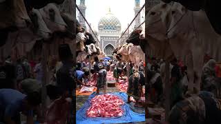 MasyaAllah, Pemandangan Qurban Luar Biasa! Daging Menggunung, Ratusan Sapi Disembelih #shorts #sapi