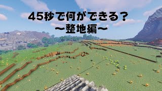 ４５秒で何ができる？ ~整地編~ 【隣人マイクラ】