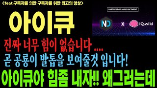 [아이큐][아이큐코인]코인전망 비트코인 이더리움 도지코인