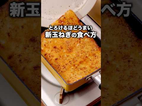 The cheese and new onions were so good [Baked new onions with cheese] For detailed recipes, check...