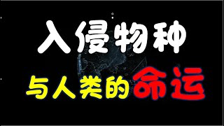外来生物入侵：入侵生物到底是自然意志对人类的恩赐还是惩罚？