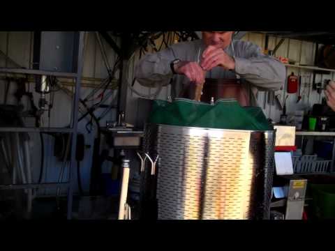 Apple Cider