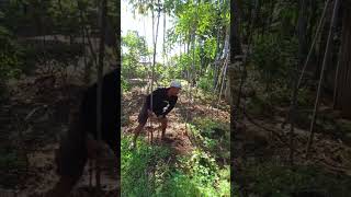 Sketbor #funny #tipeketawa #comedy #katakatalucubahasasunda #ngakak #gudanghiburan #lucu #komedi