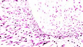 ❗FLASH WARNING❗PSY-TRANCE 🤑 Creeds - Push Up (Luminatix Remix)TikTok:trippy_4208