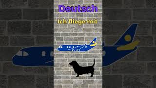 I'm going by plane. The 5-minute-a-day way to learn German.