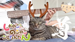 【保護猫を添えて】しかのこのこのここしたんたん『シカ色デイズ』ベース弾いてみた ( Bass Cover )