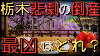 栃木県の倒産厳選１２選！誰も教えてくれないその内幕とは？【ゆっくり解説】