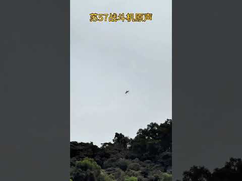 苏57战斗机原声