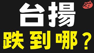 2025/03/21(五)台揚跌到哪?|#華經#廣宇#國統#台灣虎航#驊宏資#振曜