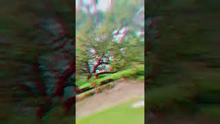 [Mausam ke dekho ishare] #shortvideo #entertainment #trending #remix