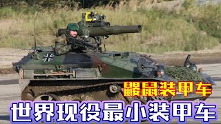 世界现役最小装甲车，耗时20年才研发成功，突袭能力不容小觑