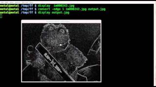 Imagemagick - Edge Effect - Tutorial - BASH - Linux