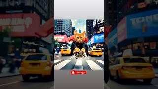 Hero cat said "I got you, bro! #cat #herocat #funny #warm #turtle #newyork #timessquare