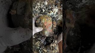 Rare  Agate Found in Rocks! $$$ High Value Gemstones #youtubeshorts #agatehunting #rockhounding