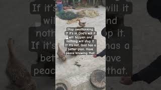 #newvideo #quotes #subscribe #youtube #jokememe