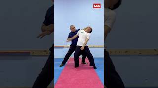 Aikido self defense techniques - 21 #aikido #selfdefense #kungfu #martialarts #foryou #shorts