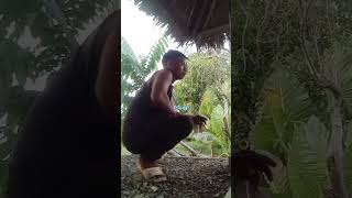 Tingnan mabuti kong paano mag tagulilong