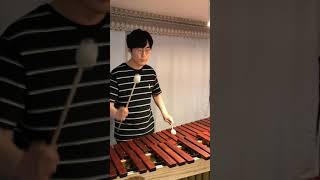 Mena Massoud, Naomi Scott - A Whole New World (Marimba Cover) #awholenewworldcover #shorts