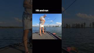 WATCH THE REPLAY CLOSE 😂 Little tap n go 🧅😬 #fish #fishing #fail