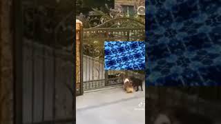 #abrelohd #