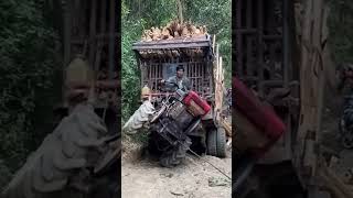😬 BIG FAIL: How They Used to Log – Vol. 20 🌲🪓 #LoggingFails