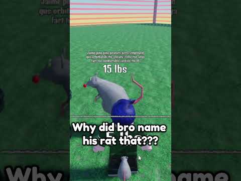 Why Did Bro Name His Rat That? 💀💀💀 #roblox #robloxstudio #gamejam #robloxgamejam #robloxdevelopment