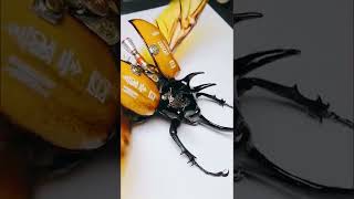 What kind of machinery is this #Gadgets #Smart #video #Viral #Tools #Super #Money #Rich #Work