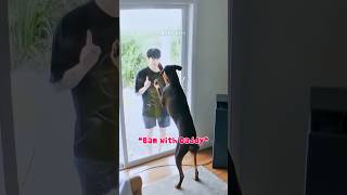 The Moment BTS Members Show Love Bam 🐾💜 #shorts #bts #jungkook #bam