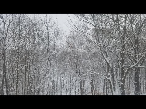 College Point Winter Storm  (NYC) (12/16/2020)