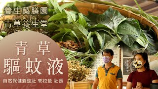 【青草養生堂】Vol.1 青草驅蚊液 ｜天然青草元素 茶樹香茅臭川芎純露配方｜新化養生藥膳園 io̍h-thâu-á Physic Garden