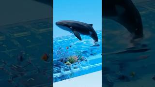 [ASMR] This Whale Keyboard is Next Level 🐋 | Full Version in Related Video! #shorts