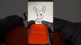 Google search iPetprints – For the Pet Who Loved You at Your Worst