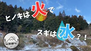 意外と知らないスギとヒノキの違いについて、いろんな角度から解説します！