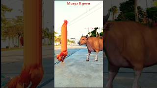 Murga Jharkhand Guru khai#short #video