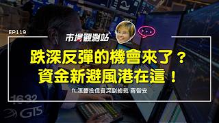 跌深反彈的機會來了？資金新避風港在這！｜主持人陳碧芬 feat.滙豐投信資深副總裁 蔣智安【#市場觀測站Podcast EP119】@cteevideo