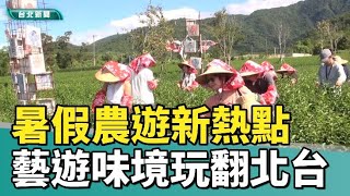 暑假農遊新熱點 「藝遊味境」玩翻北台灣