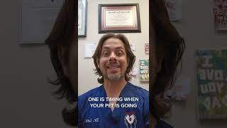 Dog Heatstroke Prevention    #veterinarian #dog #shorts