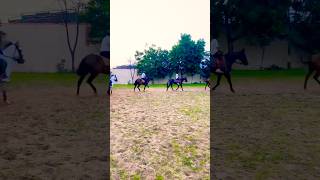 "students की हॉर्स राइडिंग!"🏇😍📸🚨#policehorse#horse#ytshorts #shortsfeed#trending#ghoda#duty