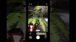 【簡単】iPhoneで水滴をキレイに撮る方法（撮影者:Ryota）#shorts #iphone #iphone撮影 #講座 #rkphoto