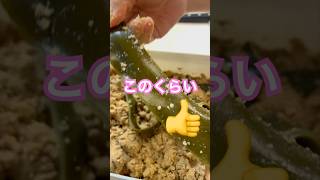 昆布【ぬか漬け】メリット・デメリット　#ぬか漬け #腸活 #昆布