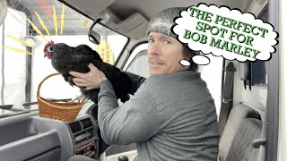 Subaru Sambar Cup Holder Problem Solved With One Simple Trick... Grab A Chicken!