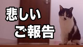 Kuu-chan's chronic kidney disease has worsened