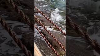 Sound #646 典藏聲音，日本高松男木島海浪拍岸的聲音，瀬戶內國際藝術祭