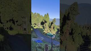 #Dhotrey#sherpahomestay#darjeeling #travel #travelvlog #travel #tourism #westbengal