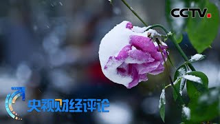 寒潮轮番来袭 如何保障温暖过冬？「央视财经评论」20211202 | CCTV财经