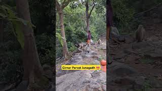 Girnar Parvat Junagadh Gujarat #girnar #junagadh #shorts #viralvideo
