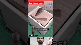 best mouse trap idea/amazing home made🐀🤯#rat #trap #rattrap #mousetrap
