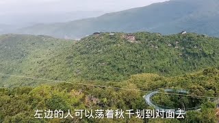 海南三亚的野生植物天堂，亚龙湾热带森林公园