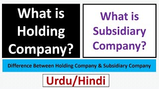 What is Holding Company and Subsidiary Company? Holding Company vs Subsidiary Company-Urdu/Hindi