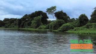 Pantanal Briding Tours - Brazil Wildlife Expeditions